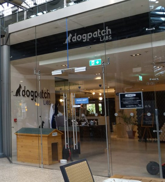 A frontal view of dogpatch labs, with glass doors and logo in view.